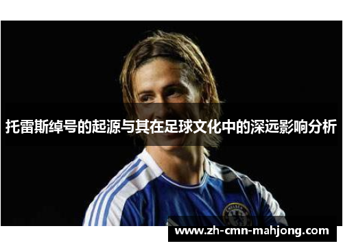 托雷斯绰号的起源与其在足球文化中的深远影响分析