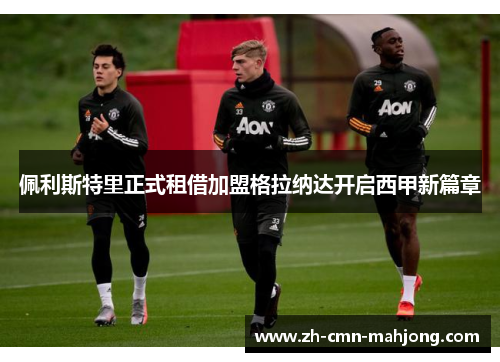 佩利斯特里正式租借加盟格拉纳达开启西甲新篇章 佩利斯特里正式租借加盟格拉纳达开启西甲新篇章